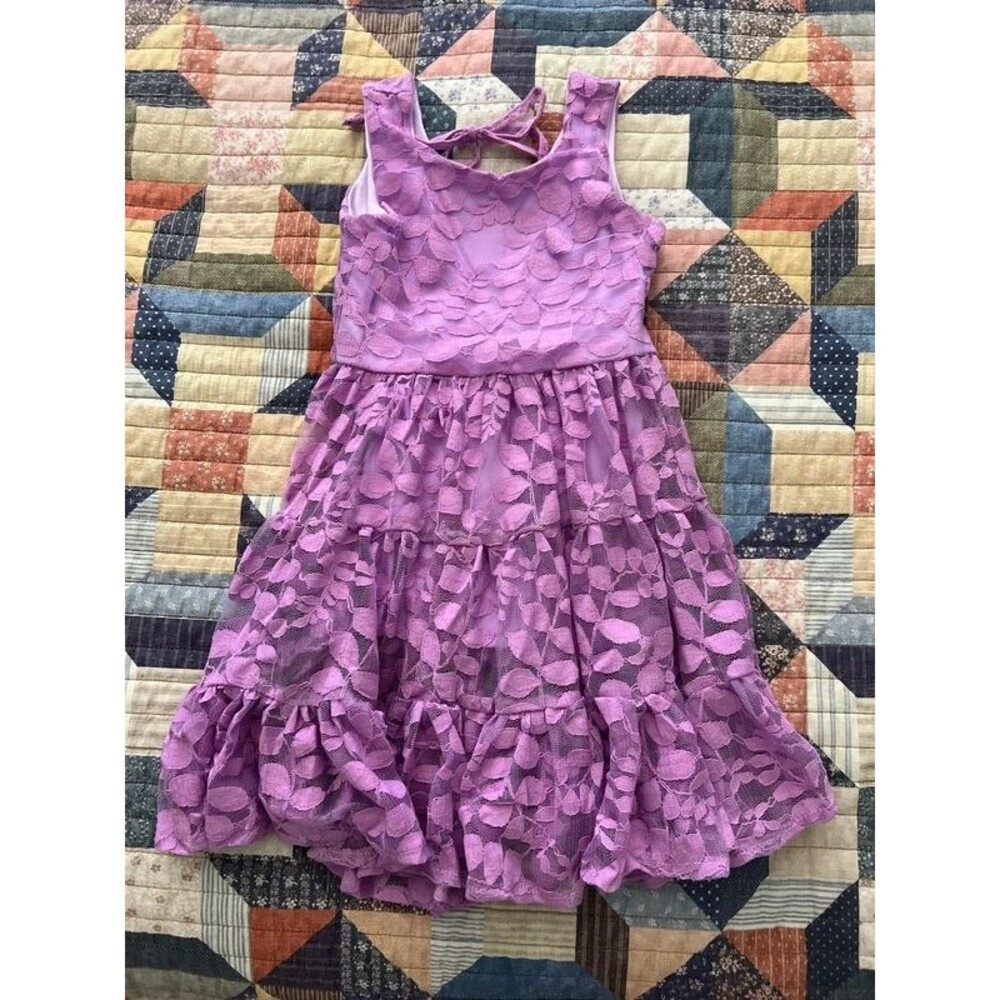 Girls Purple Floral Lace Dress Size 4/5 NWT